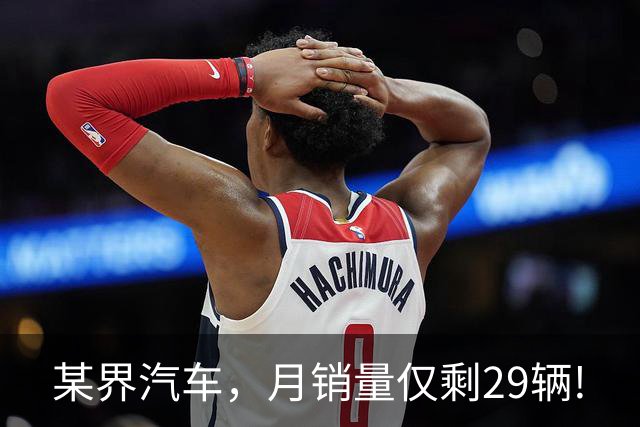 某界汽车，月销量仅剩29辆!