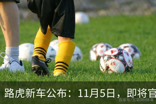 路虎新车公布：11月5日，即将官宣
