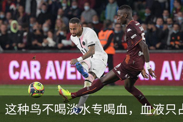 这种鸟不喝淡水专喝血，血液只占食谱十分之一