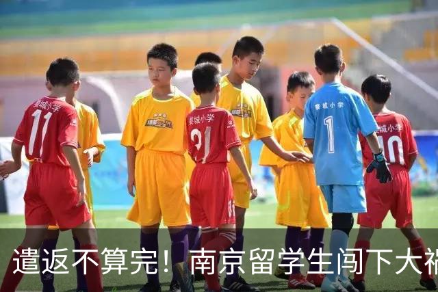 遣返不算完！南京留学生闯下大祸，回国之后四道难关在等着他
